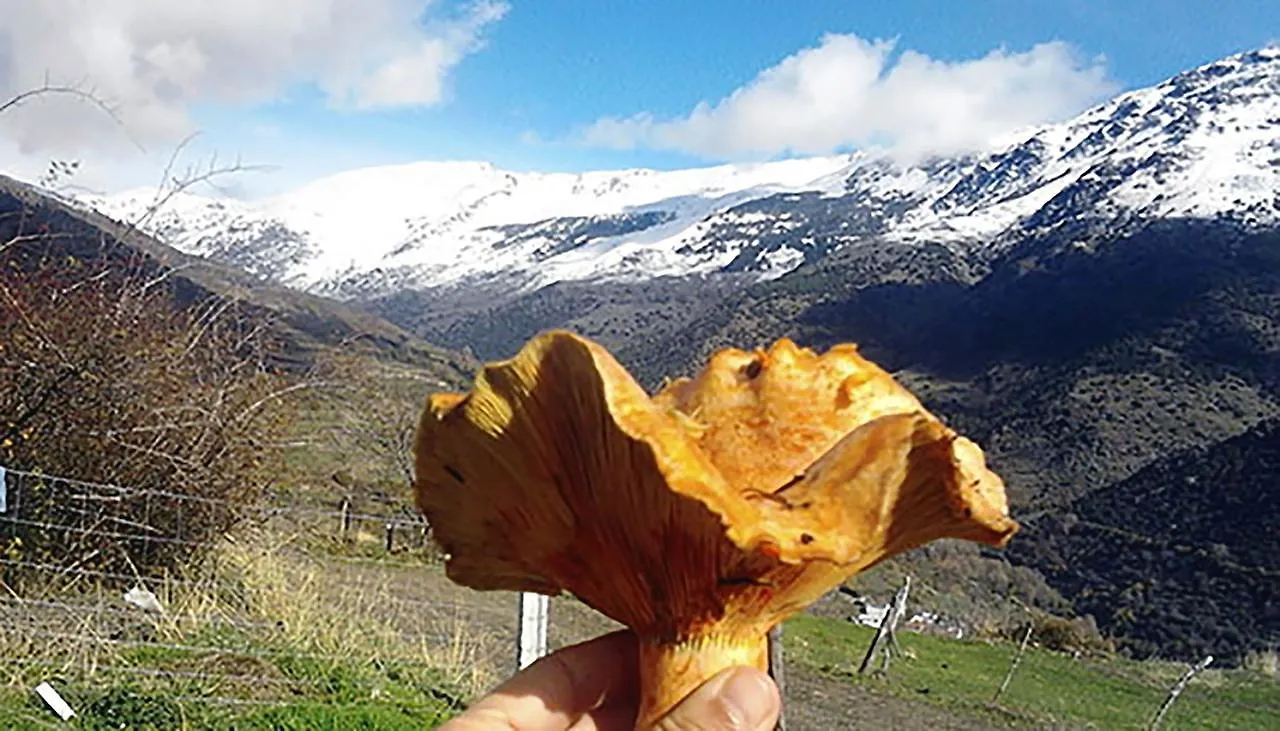 Refugio Alpujarra Alta Bed & Breakfast Trevelez 0*,