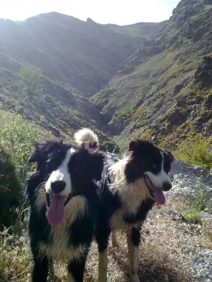 Refugio Alpujarra Alta Bed & Breakfast Trevelez